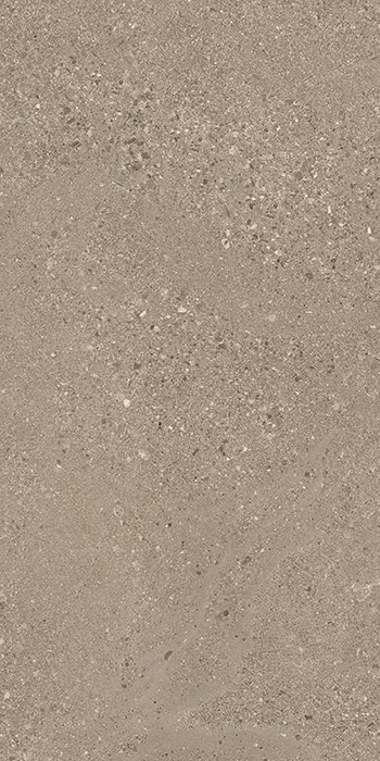 Grainstone Taupe Rough Grain Tecnica R 11 60x120